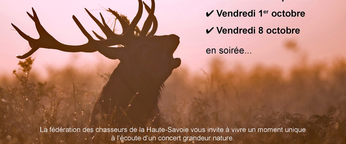 Escapades nature : Brame du Cerf - Valleraugue - (30570) - ven. 24 sept. 21  - Spectable